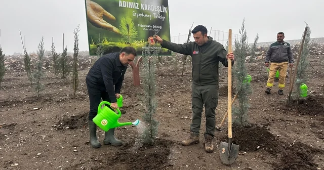 Baybatur dan yanan orman alanlarına bin fidan Manisa Haberleri