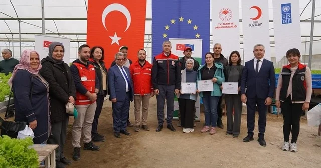 Adana da topraksız marul yetiştiriciliği başladı Adana Haberleri