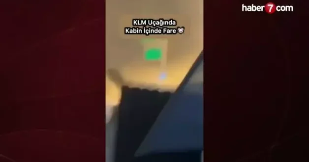 Uçaktaki fare paniğe neden oldu!