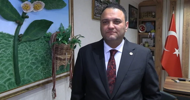 Boyalı çay a kapsamlı denetim ve inceleme Rize Haberleri