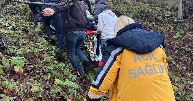Otomobil ormanlık alana uçtu, 2 yaralı Zonguldak Haberleri