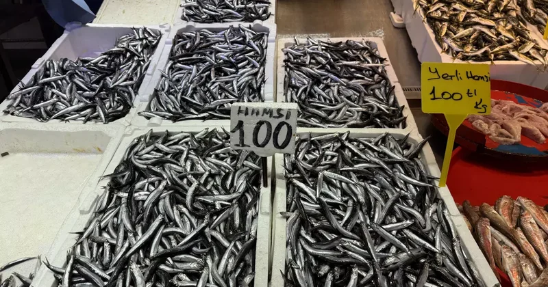 Hamsi ve istavrit 100 liradan satılıyor