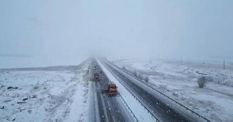 Turuncu kaplanlar kar mesaisinde