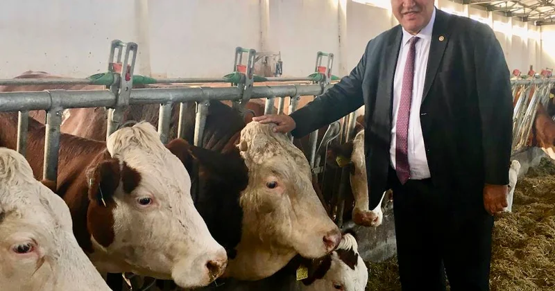 Gürer: Çiğ süt referans fiyatı üç ayda bir açıklanmalı ve güncellenmeli Sözcü Gazetesi