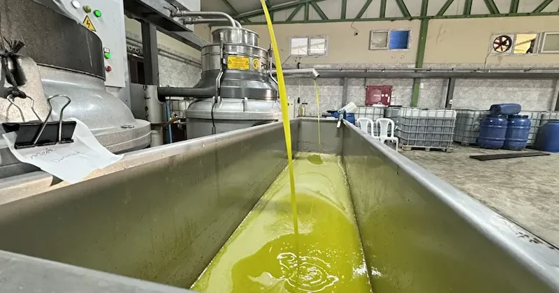 Yaşadığı şehre fabrika kurup tüm mahalleyi işe aldı, Suudi Arabistan a bile ihraç ediyor Sözcü Gazetesi