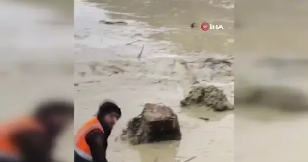 İBB doğal yaşamı mahvetti! Mavi Göl çalışmalarından skandal görüntüler