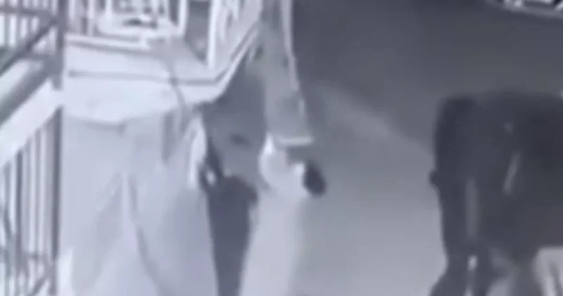 Balkondaki halıyı çaldı