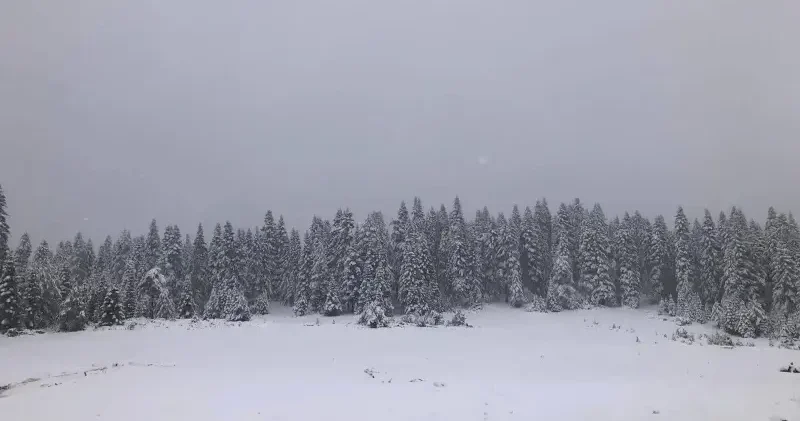 Yağmurun yerini bıraktığı kar Sinop un yüksek kesimlerini beyaza bürüdü Sinop Haberleri