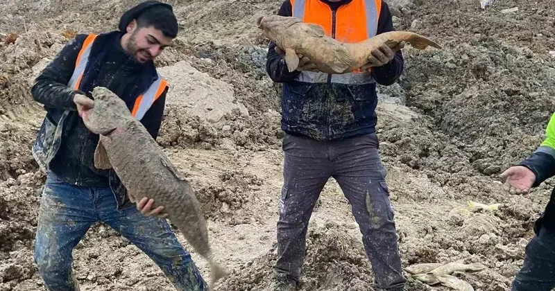 Arnavutköy’de İBB’nin döküm sahasına çevirdiği Mavi Göl’de balıklar can çekişiyor