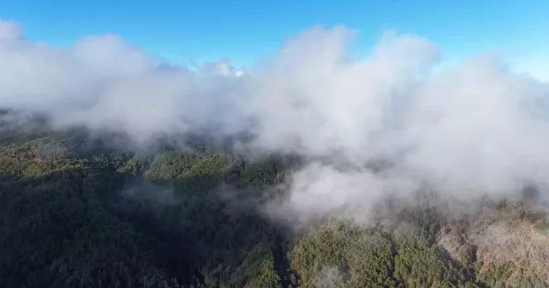 Kastamonu’da sis bulutları ve ormanların buluşması mest etti