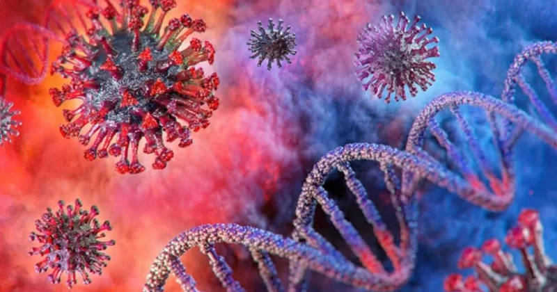 Ortaçağdan kalma korkunç hastalık tekrar hortladı Sözcü Gazetesi