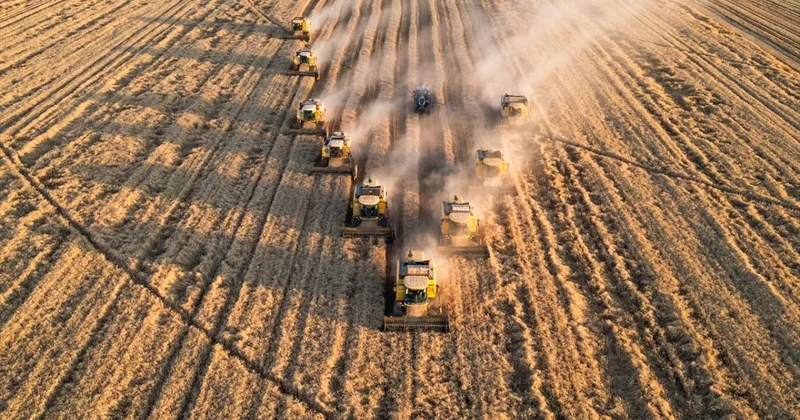 Tarım ÜFE Aralık 2025 te arttı