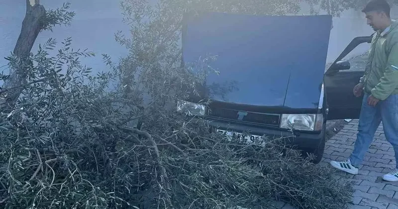 Süratli otomobil önce ağaca sonra duvara çarptı