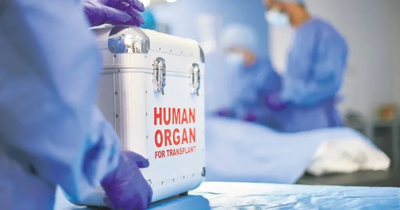 Duyun bu yaşam çığlığını!