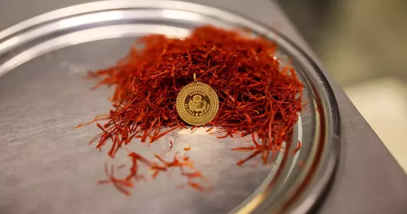 Kilosu 900 bin liraya ulaşan safran, mısır koçanı ve at kılı ile taklit ediliyor