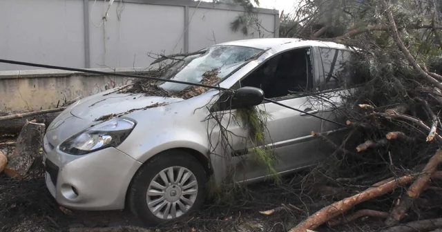 İzmir de kuvvetli rüzgarda park halindeki otomobilin üzerine ağaç devirdi İzmir Haberleri
