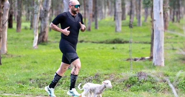 Triatlon yarışında parkura giren kuzu, renkli görüntülere neden oldu Sporcular ve görevliler kuzunun arkasından koştu İzmir Haberleri