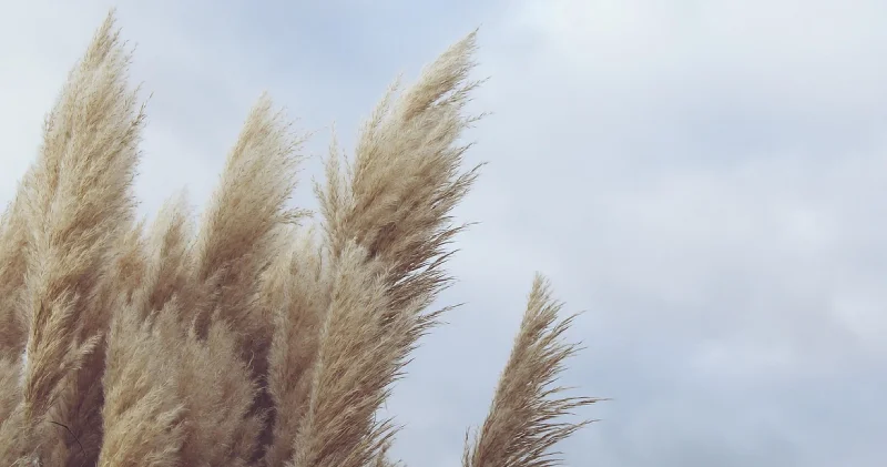 Meteoroloji den Orta Karadeniz ve batı bölgeler için kuvvetli rüzgar ve fırtına uyarısı: Ankara nın güneyi dahil 12 ilde etkili olacak; soba zehirlenmelerine dikkat!