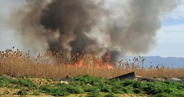 İznik te rüzgarla birlikte sazlık yangını büyüyor Bursa Haberleri