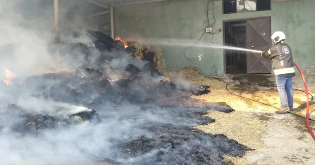 Harada çıkan yangında 70 balya saman yandı Kocaeli Haberleri