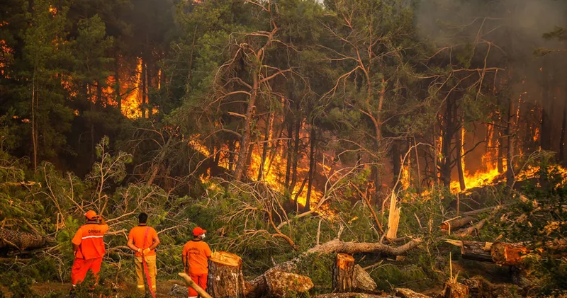 Orman yangınları için denetim çağrısı: KDK kararında bir ay geçti, açıklama yok
