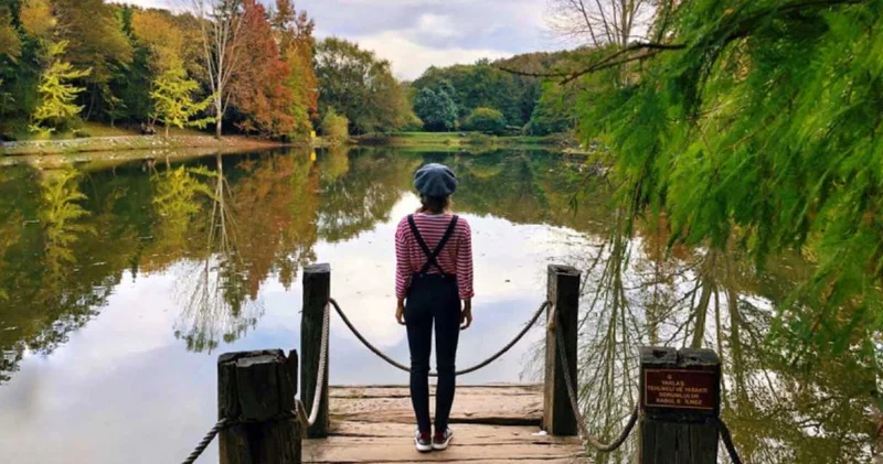 Milli parklarda özel şirketlere 99 yıllık izin planı