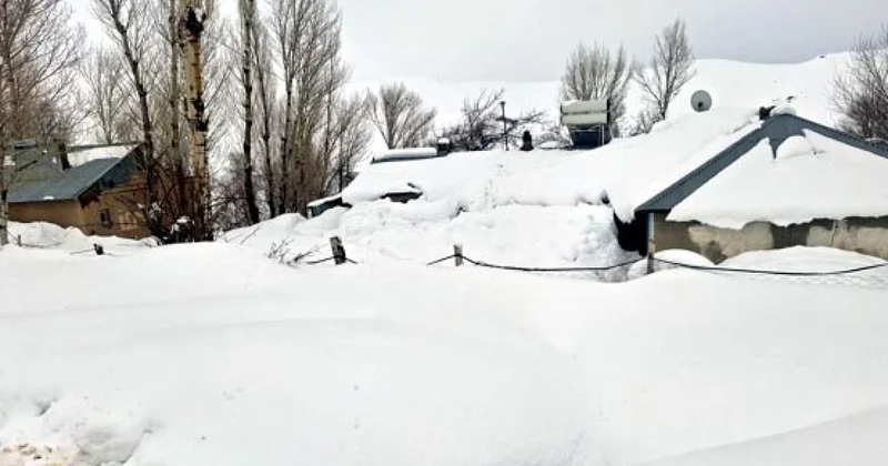 Van da kırsal mahallede evler kara gömüldü