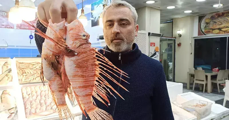 Tezgahta satışı yasak olan aslan balığının özel müşterisi var