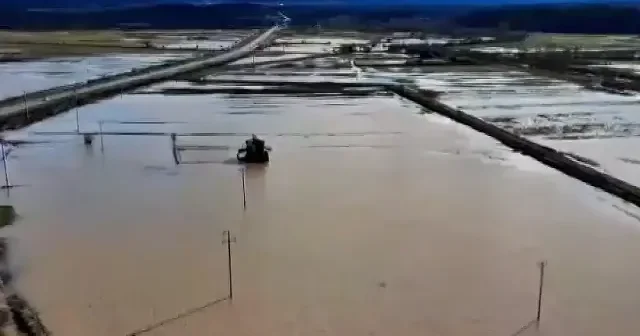 Konya da bereket taşkın getirdi: Gembos Kanalı arazileri yuttu VİDEO İZLE