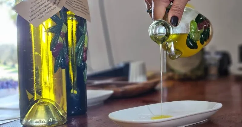 Dr. Kahraman: Tavşan yüreği zeytinyağı, kemoterapi kadar etkili