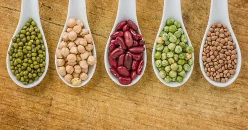 Sağlıklı uzun yaşamın vazgeçilmez gıdası Sözcü Gazetesi