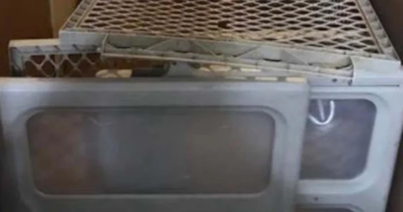 Caniliğin bu kadarı! Evlat edindiği çocukları şeker istedikleri için kafese kapattı