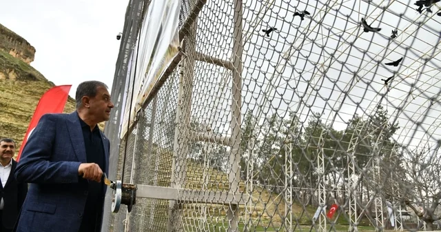 Bereket sembolü kafesteki 277 kelaynak doğaya salındı Şanlıurfa Haberleri
