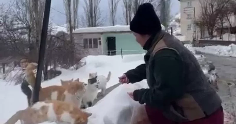 Sokak hayvanlarını beslemek için bin 400 kilometre yol geliyor