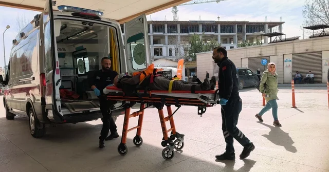 Budadığı ceviz ağacından düşüp yaralandı Bursa Haberleri