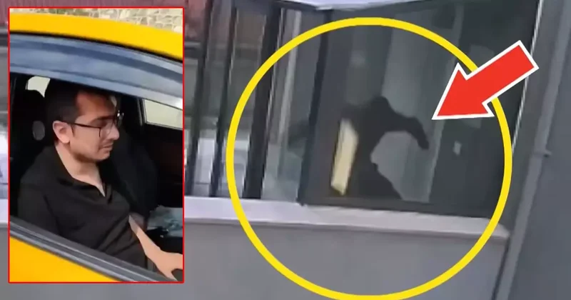 Cani doktora ‘ödül gibi’ indirim! Aldığı cezaya tepki yağdı