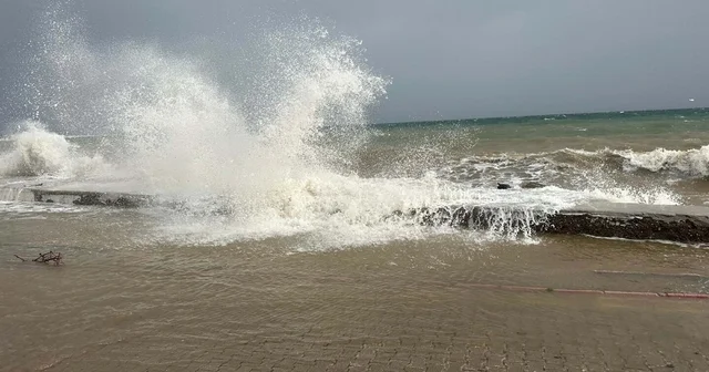 Çanakkale de fırtınada ağaçlar devrildi, balkon duvarı yıkıldı (2) Çanakkale Haberleri