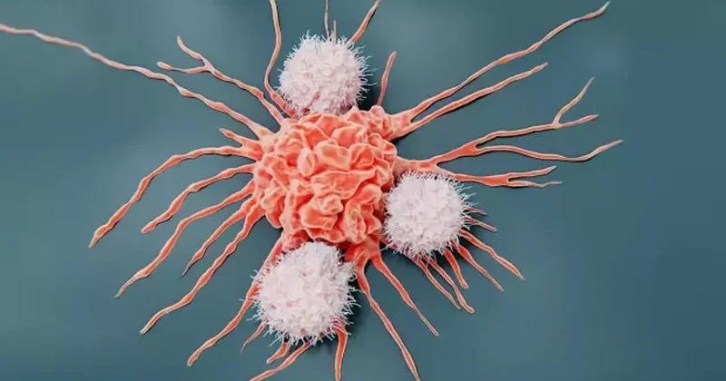 Kansere davetiye çıkarıyor! Bunları düzenli yemek pahalıya patlıyor