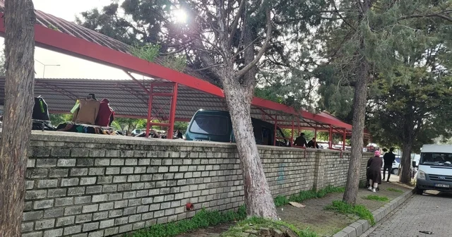 Efekent Pazaryeri nde rüzgar ağacı devirdi Aydın Haberleri