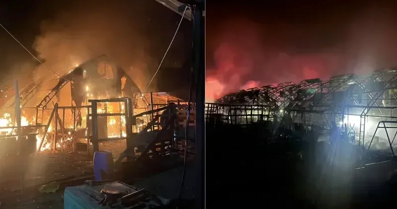 Bursa da çiftlikte çıkan yangında çok sayıda kanatlı hayvan telef oldu Bursa Haberleri