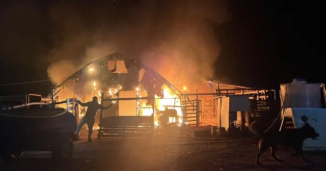 Kanatlı ve küçükbaş hayvan çiftliğinde yangın: 580 hayvan öldü Bursa Haberleri