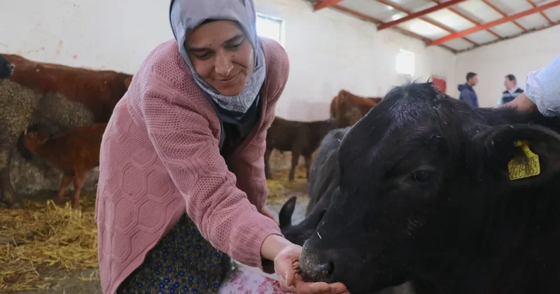 Herkese tavsiye ediyorum diyerek açıkladı: 5 ayda 2 katına çıkardı, hayatı değişti Sözcü Gazetesi