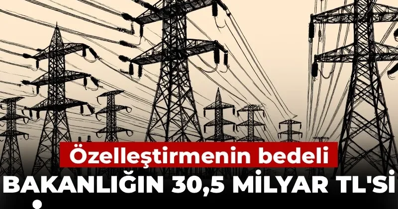 Bakanlığın 30,5 milyar TL si şirketlere aktı! Özelleştirmenin bedeli