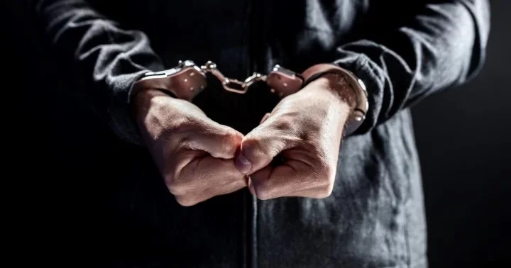 Türkiye tarafından aranan 72 şüpheli yakalanarak ülkeye getirildi