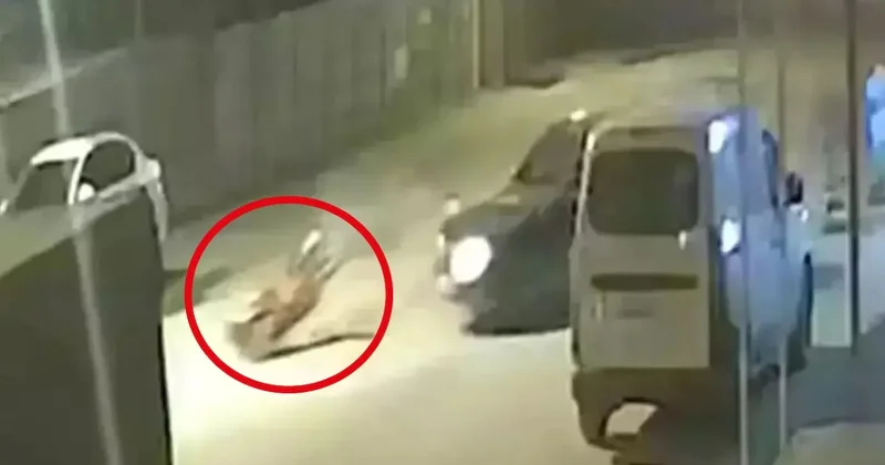 DEM Partili belediye başkanının oğlu polisten kaçarken işçiyi ezdi Sözcü Gazetesi