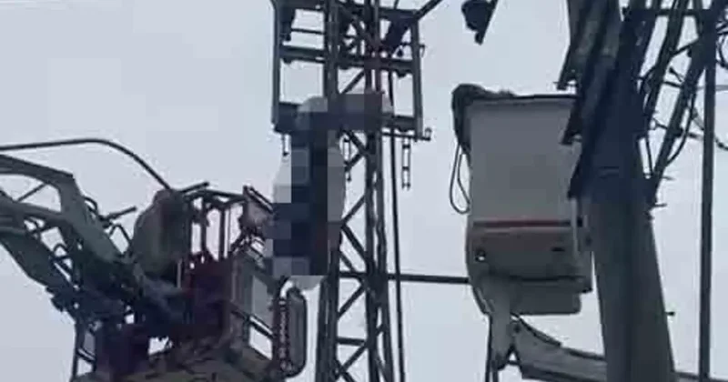 Hırsızlık için çıktığı elektrik direği sonu oldu