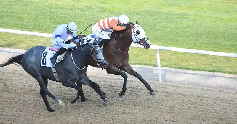 İzmir de 64 üncü Ege Derbisi nin kazananı The Protecter