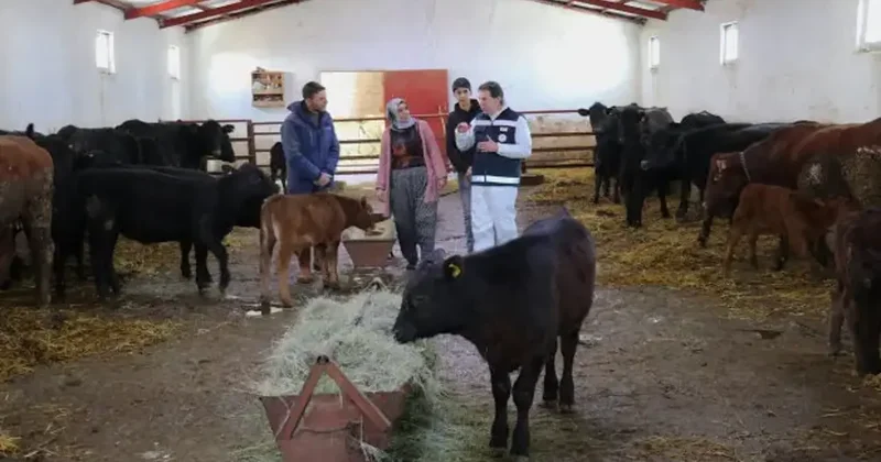 Devlet desteğiyle besiciliğe başlamıştı! 5 ayda hayvan sayısını ikiye katladı