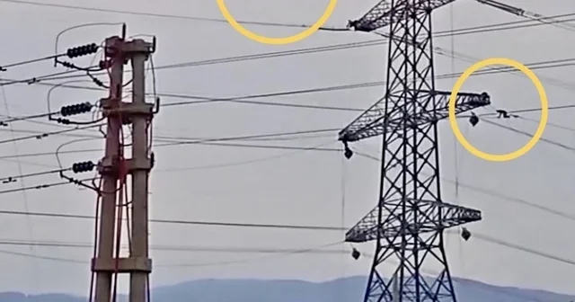 Yüksek gerilim hattında tehlikeli mesai Osmaniye Haberleri