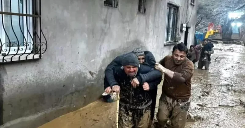 Uludere de Sel ve Heyelan: Hayvanlar Telef Oldu